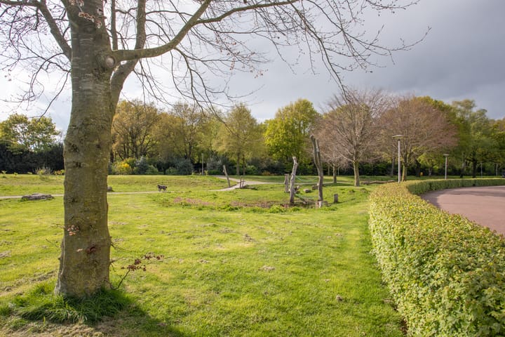 Photo 79 of Weefkamer 24