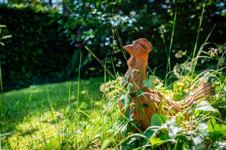 Foto 30 van Diessenseweg 28