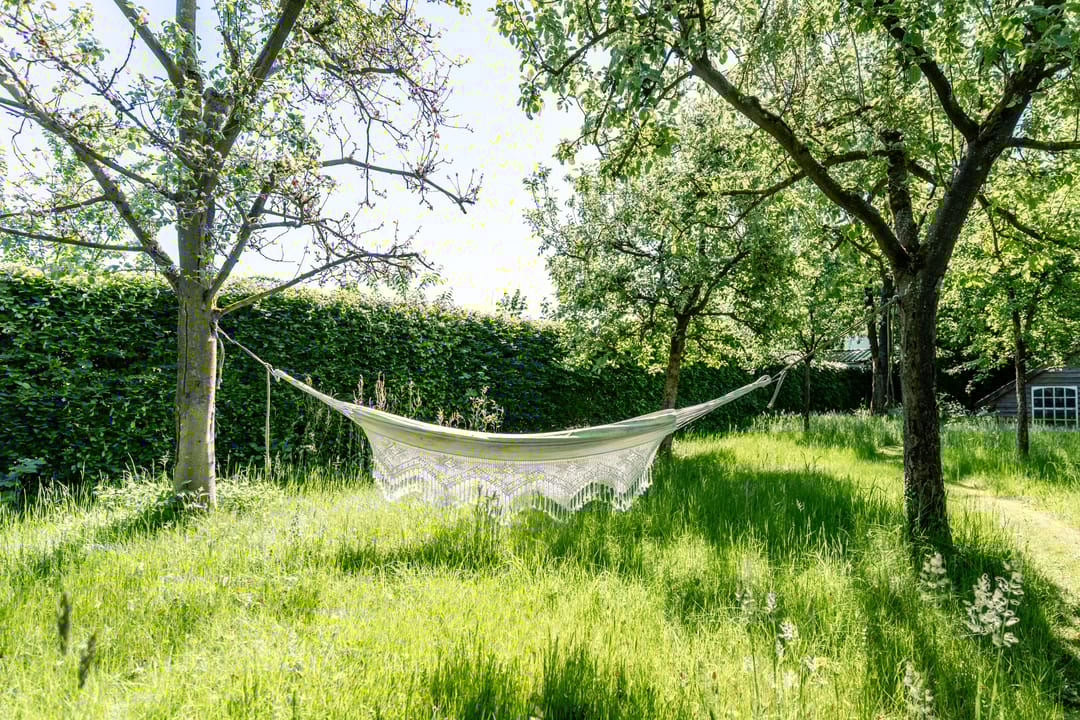 Foto 38 van Diessenseweg 28