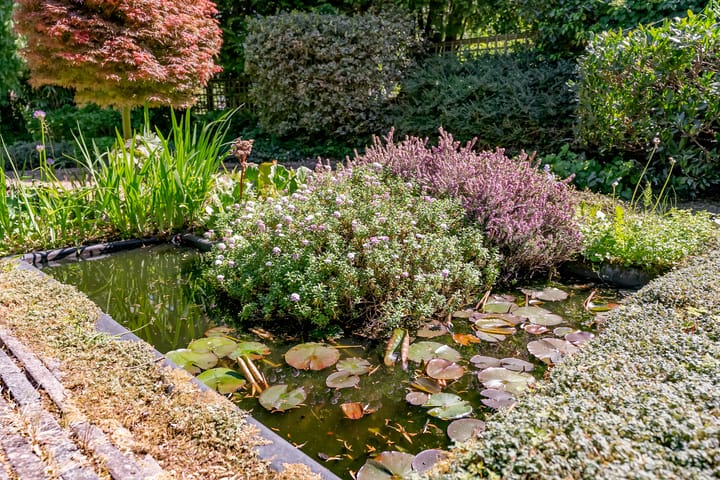 Foto 36 van Kromgouw 83