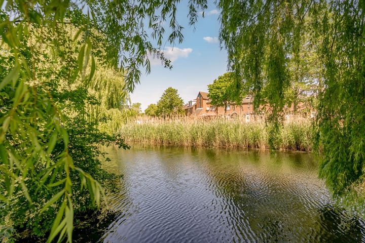 Foto 40 van Kromgouw 83