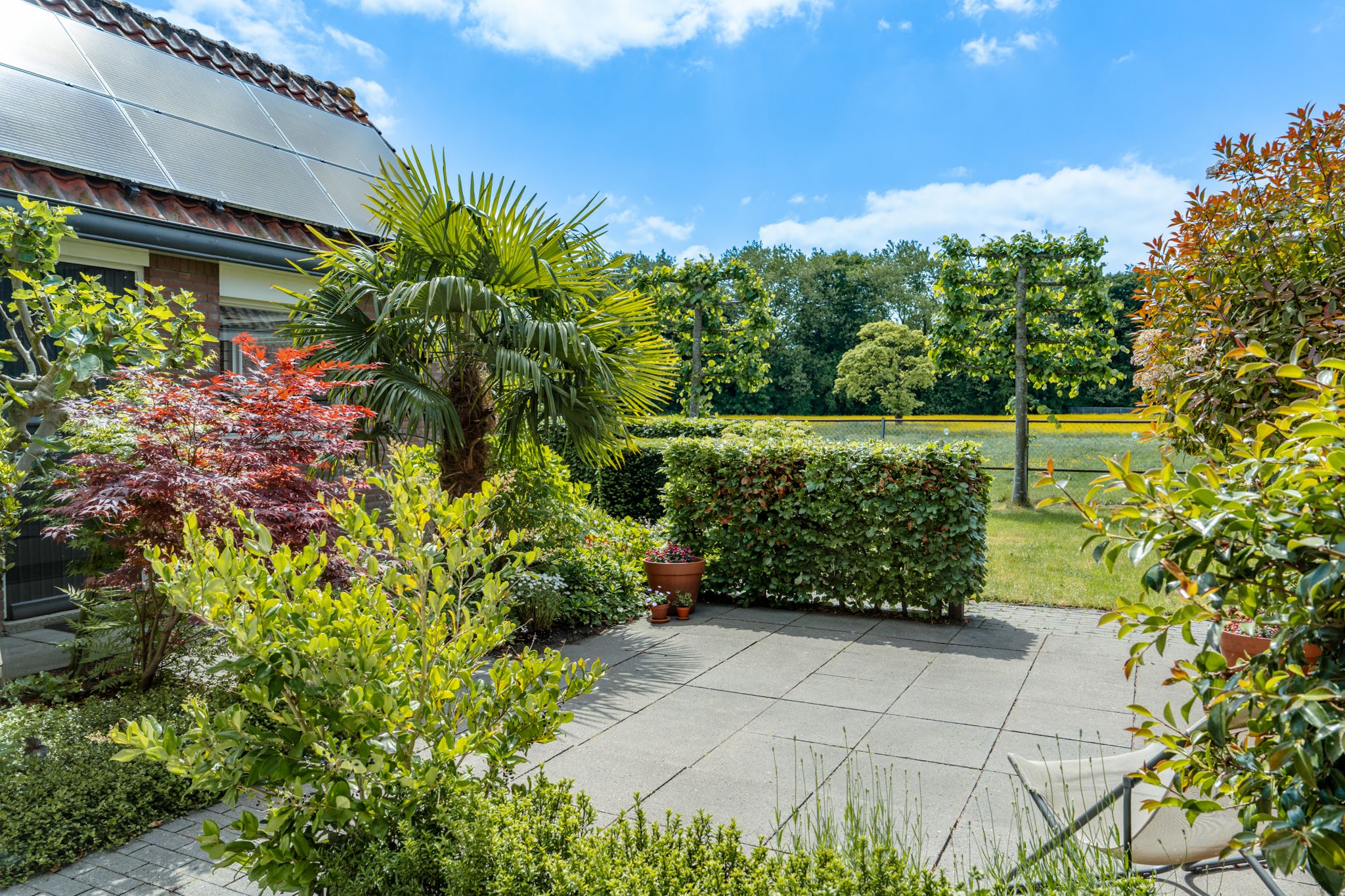 Photo 3 of Zuiderweg 131