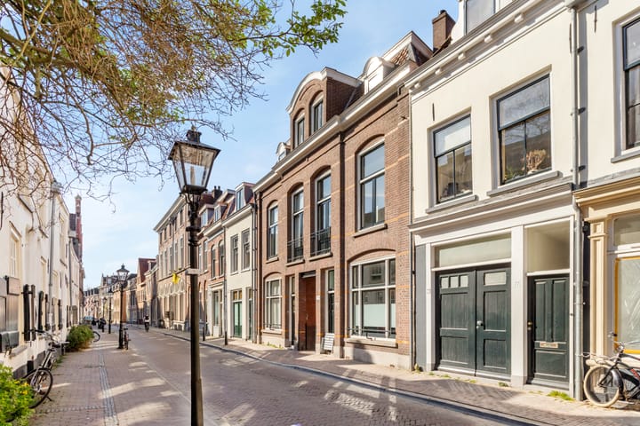 Foto 1 van Springweg 79