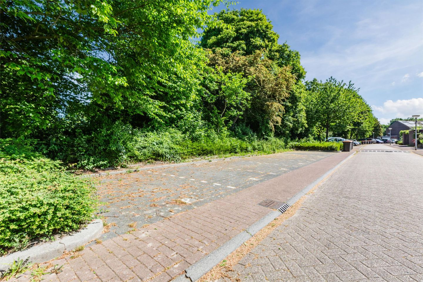 Photo 44 of Rozengaard 14 38