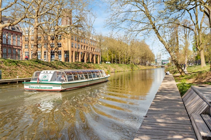 Foto 38 van Springweg 79