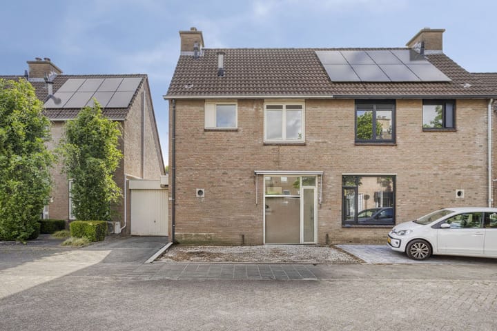 Photo 1 of Duizendblad 13