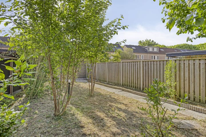 Foto 3 van Duizendblad 13