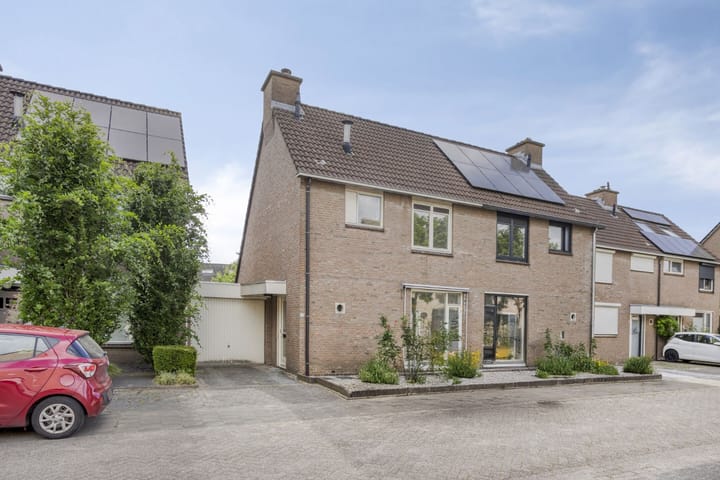 Foto 4 van Duizendblad 13