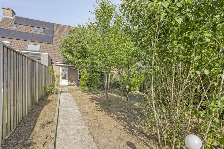 Photo 21 of Duizendblad 13