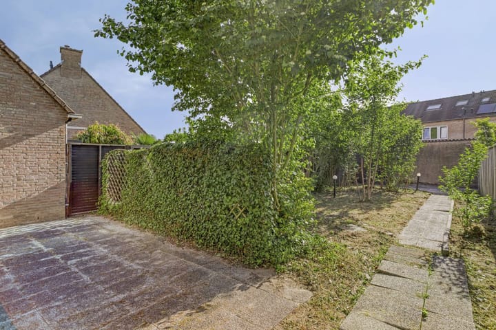 Photo 23 of Duizendblad 13