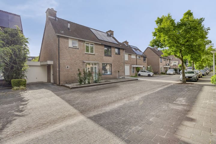 Photo 26 of Duizendblad 13