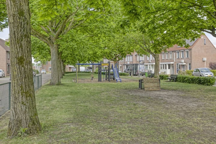Foto 27 van Duizendblad 13