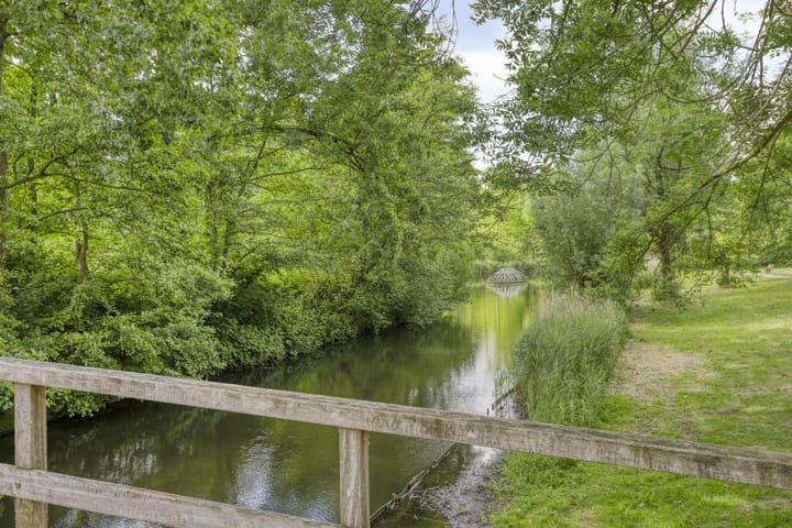 Photo 28 of Duizendblad 13