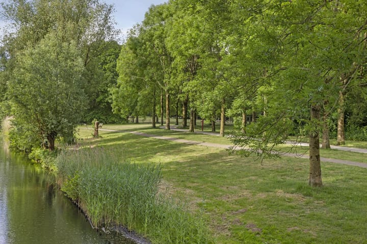 Photo 29 of Duizendblad 13