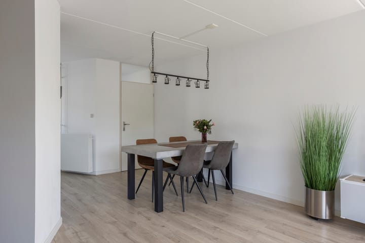 Photo 9 of Panneman 14