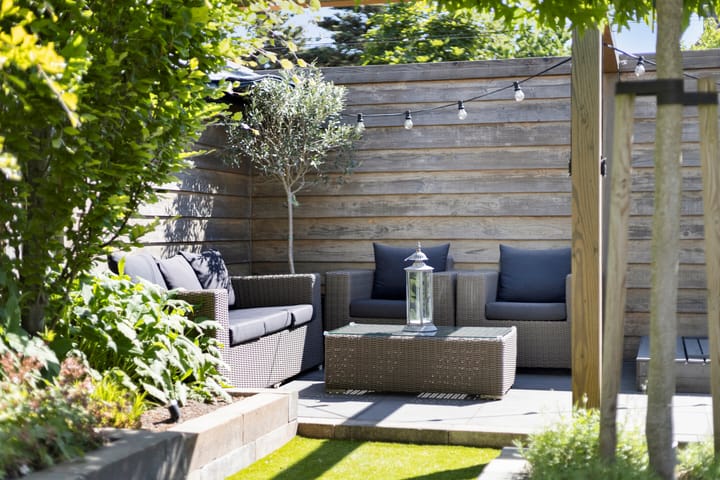 Photo 30 of Panneman 14