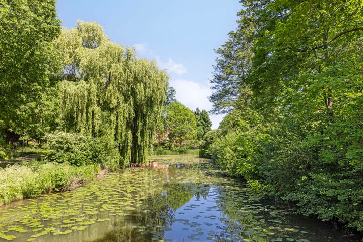 Foto 43 van Boshovenstraat 12