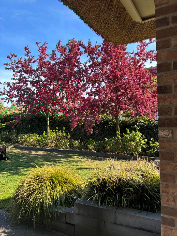 Photo 47 of Voordijk 471