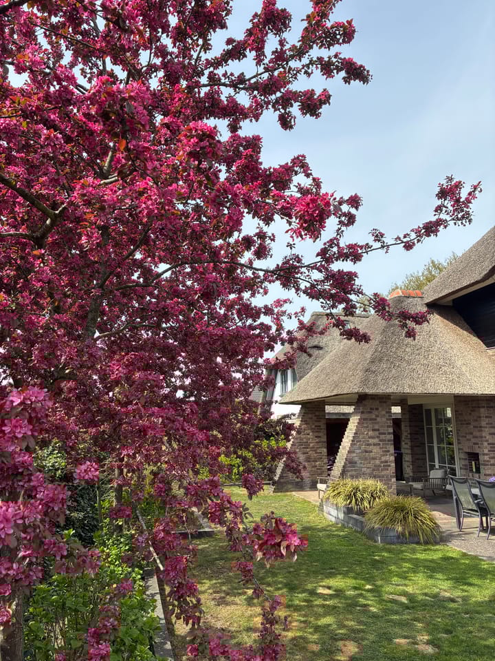 Photo 48 of Voordijk 471