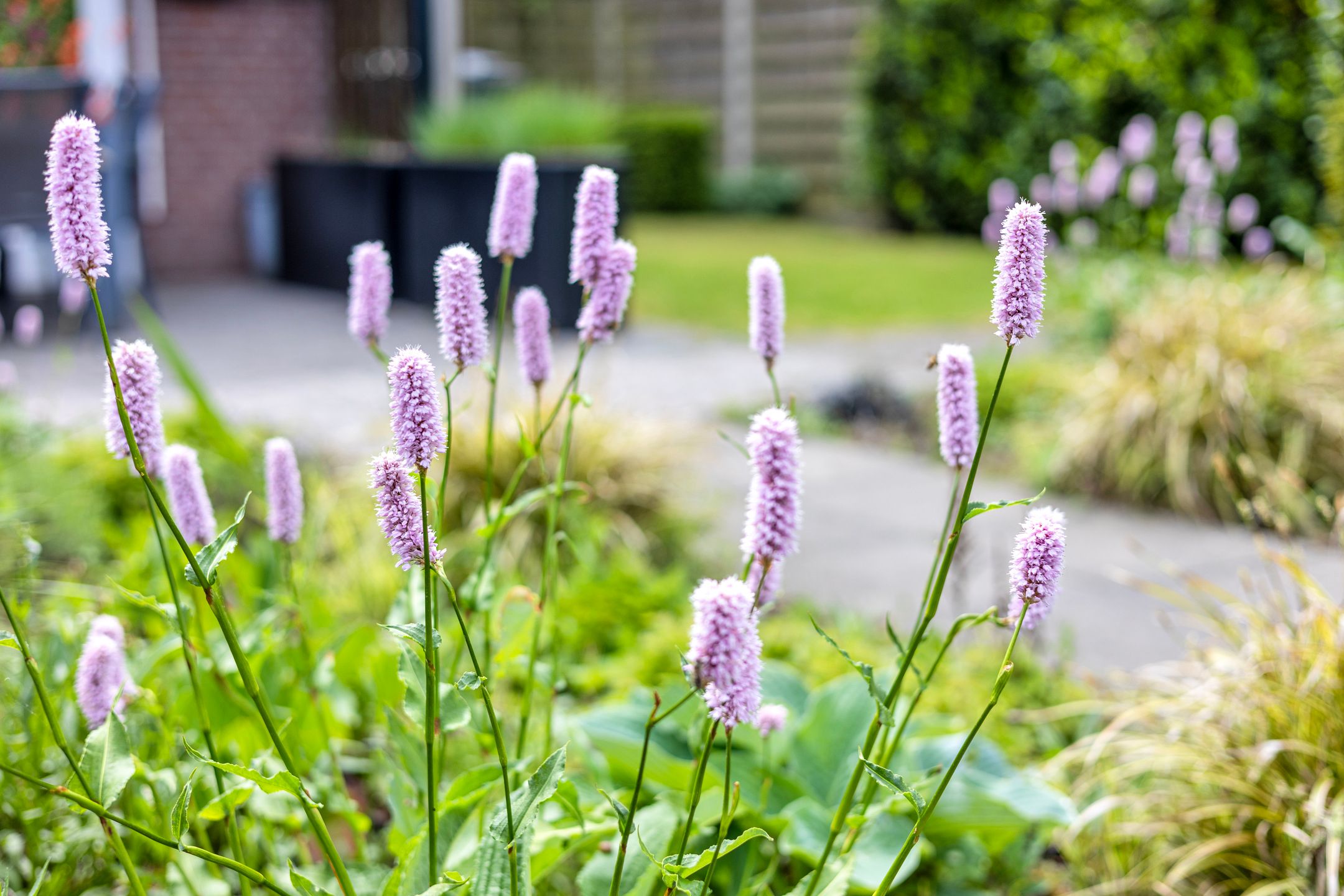 Foto 45 van Kerkstraat 6-C