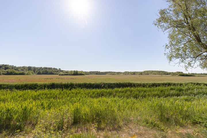 Foto 3 van Robbenoort 131