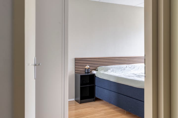 Foto 21 van Jan Palachweg 43