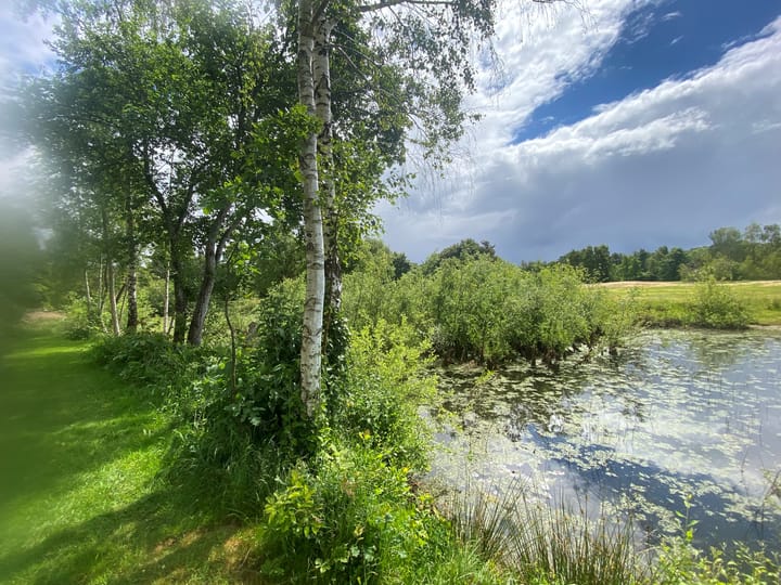 Foto 26 van Zevenbergjesweg 1-38