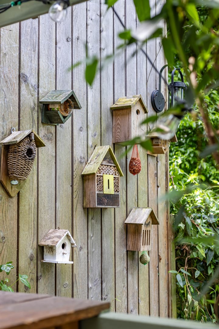 Foto 39 van Radijsstraat 43