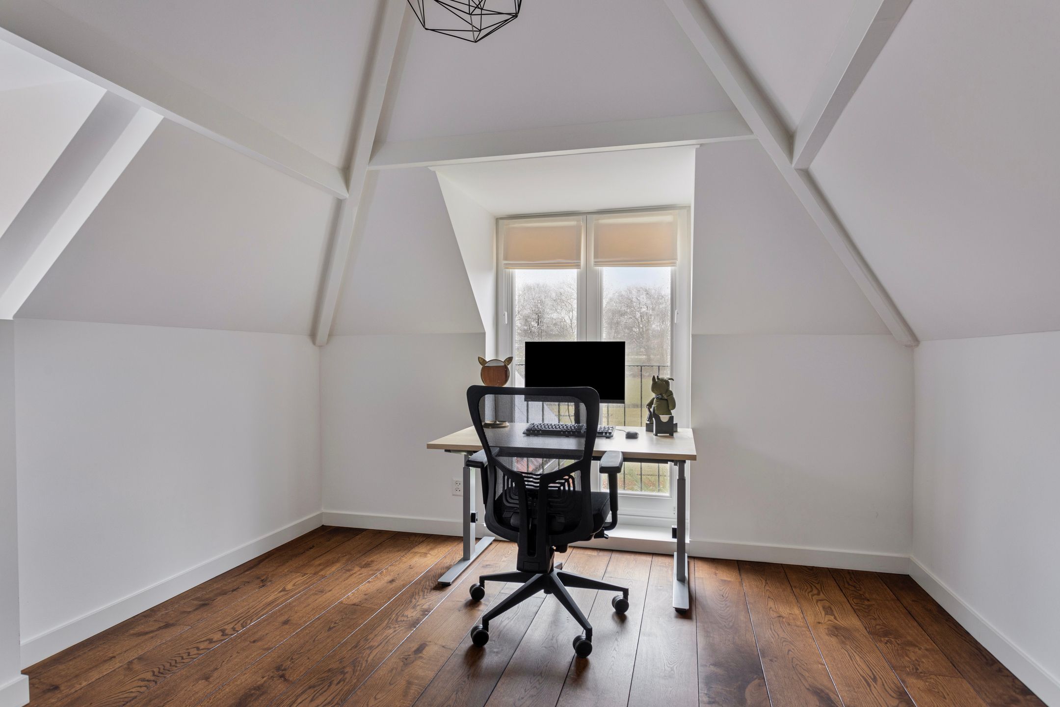 Photo 39 of Zuiderweg 131