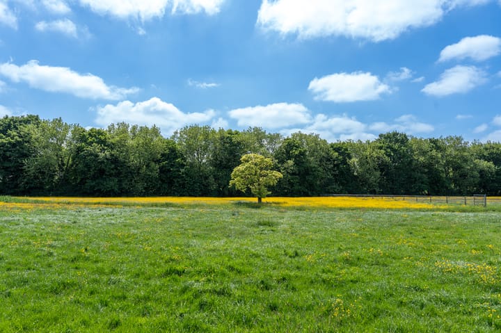 Photo 54 of Zuiderweg 131