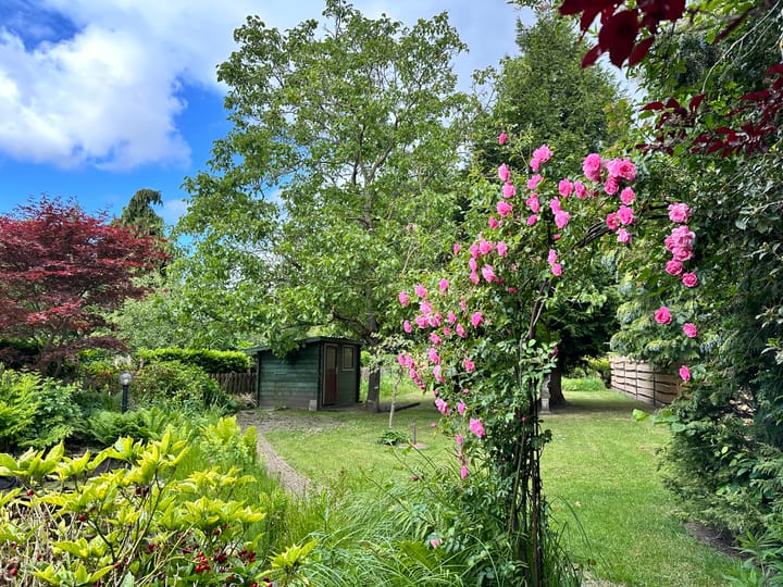 Foto 14 van Oudendijk 16