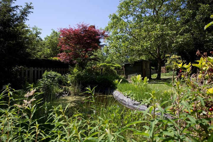 Foto 16 van Oudendijk 16