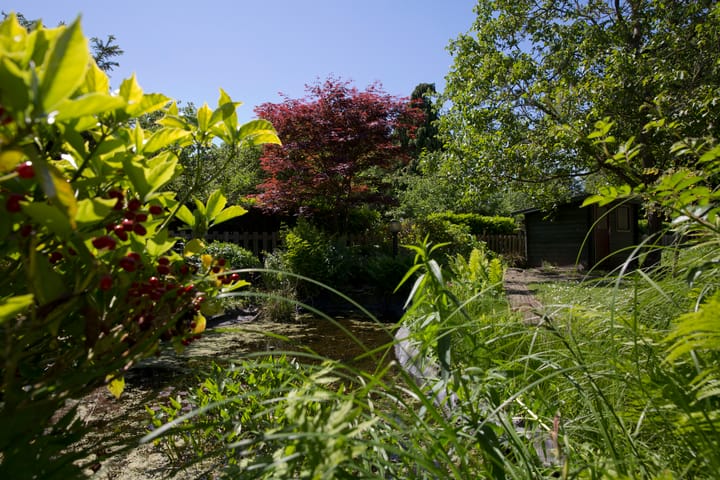 Foto 18 van Oudendijk 16