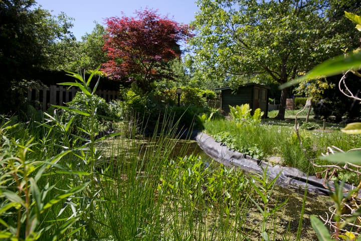 Foto 19 van Oudendijk 16