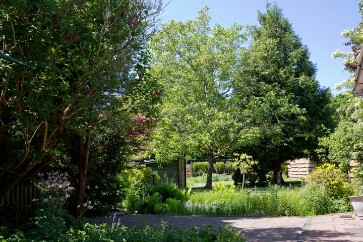 Foto 20 van Oudendijk 16