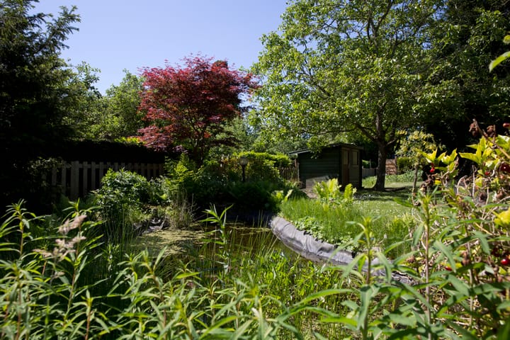 Foto 22 van Oudendijk 16