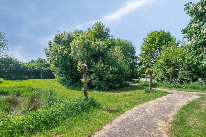 Foto 37 van de Geer 1002