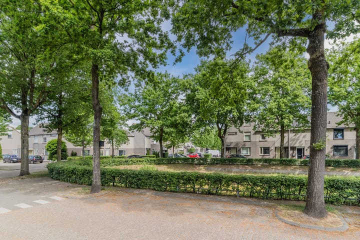 Foto 39 van Domburgsingel 36