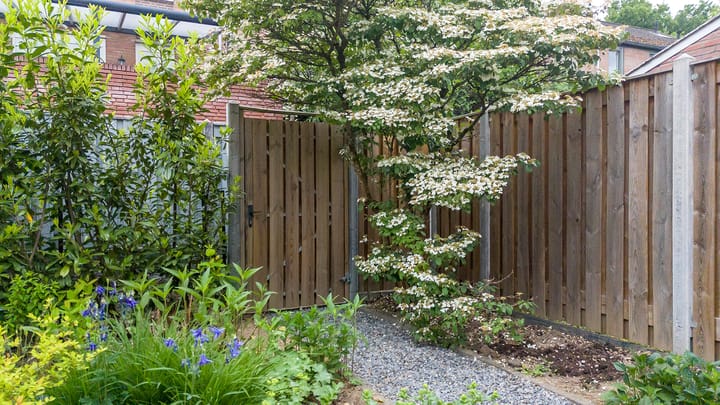 Foto 26 van Eisenhowerstraat 9