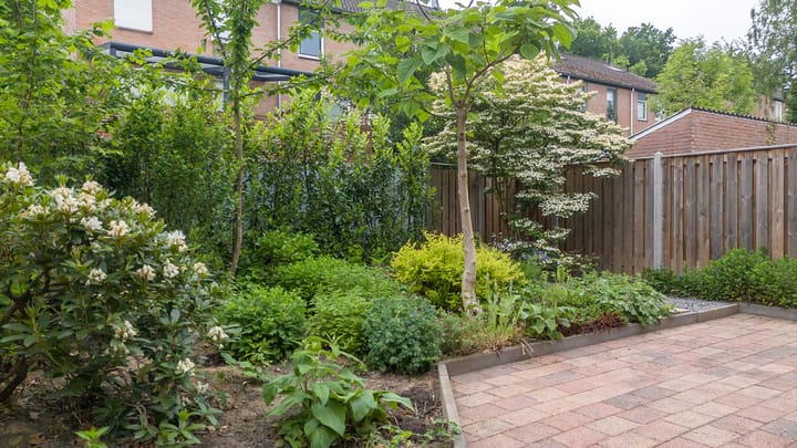 Foto 29 van Eisenhowerstraat 9