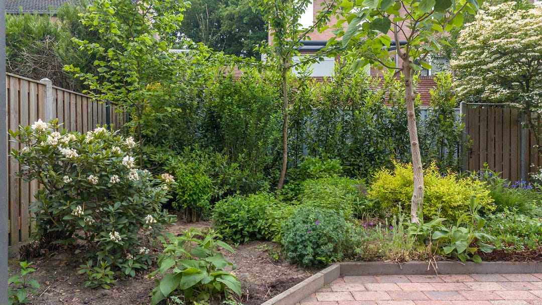 Foto 31 van Eisenhowerstraat 9