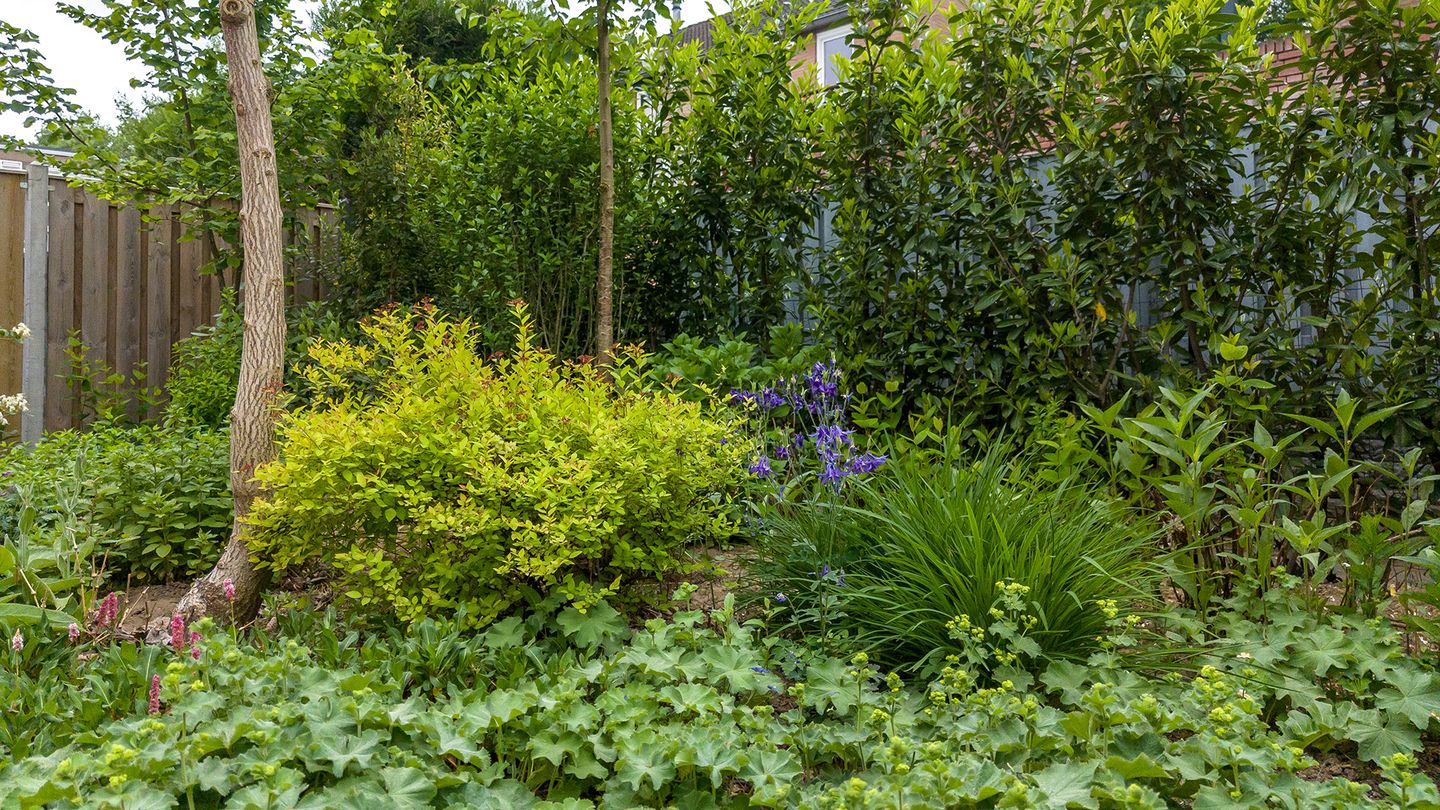 Foto 34 van Eisenhowerstraat 9