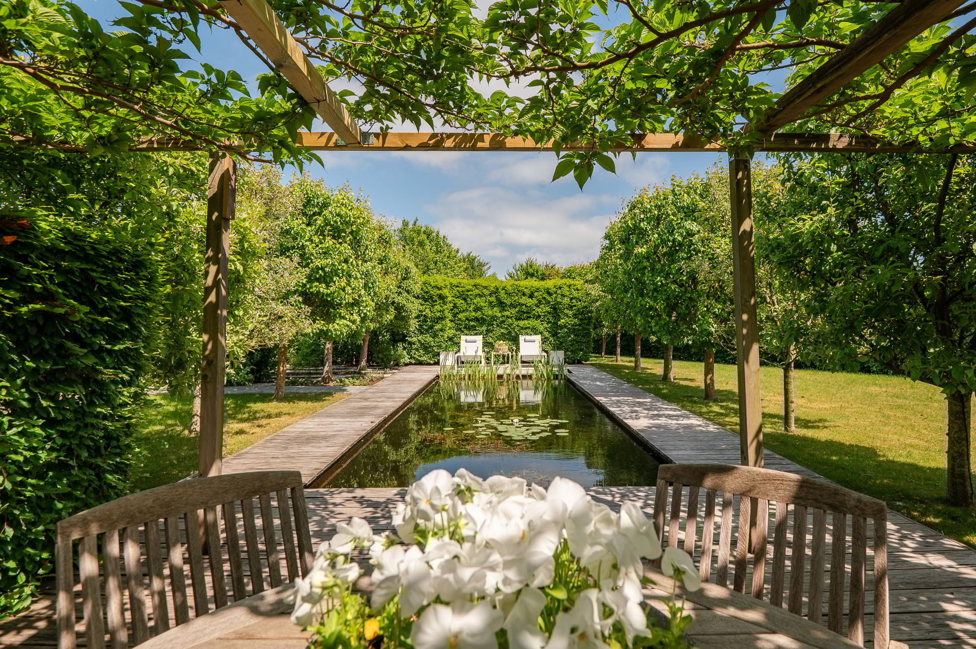 Foto 6 van Weegbree 23