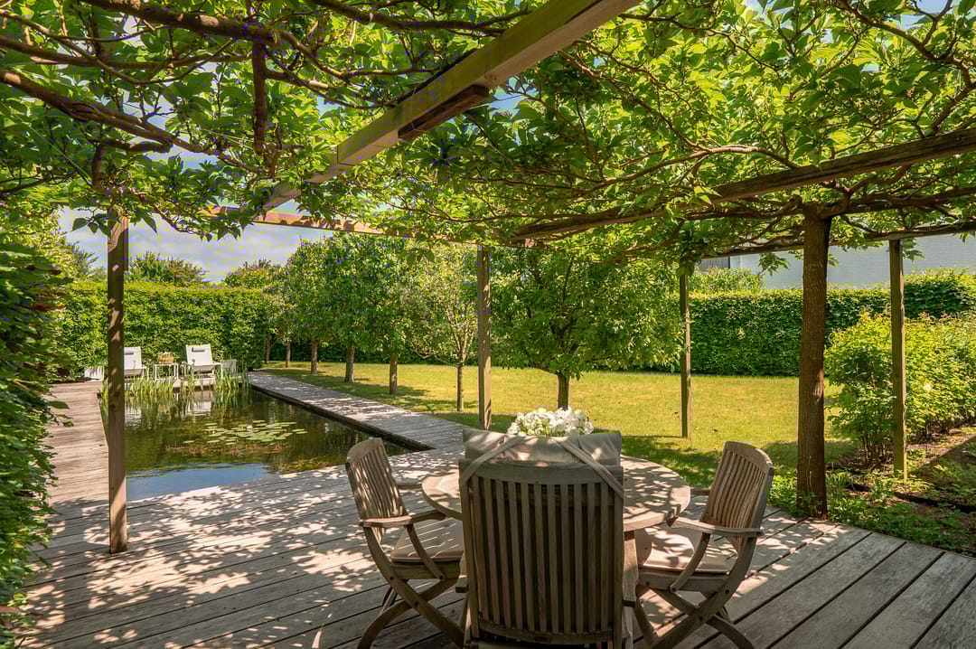 Foto 43 van Weegbree 23