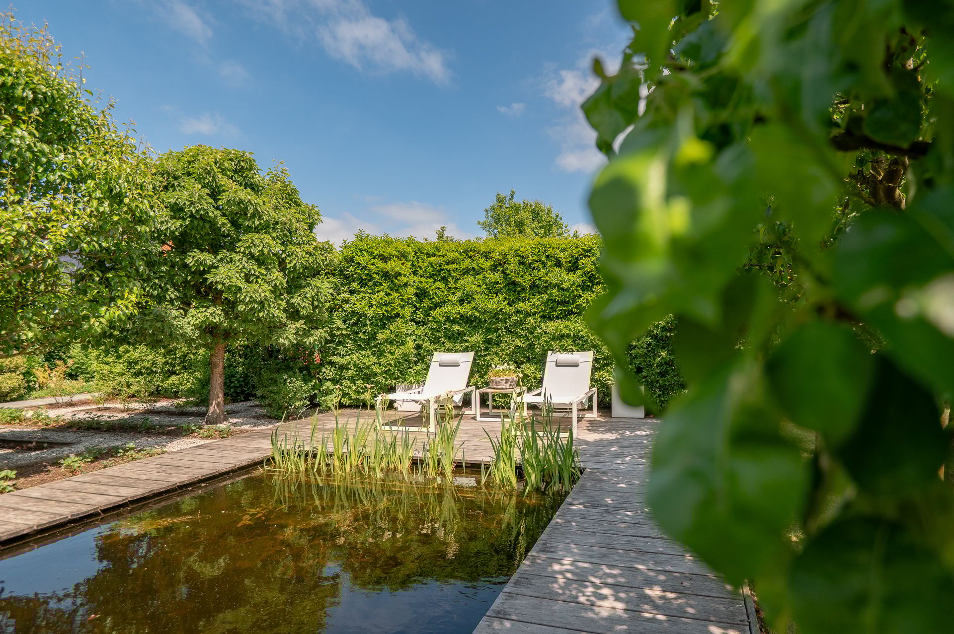 Foto 45 van Weegbree 23