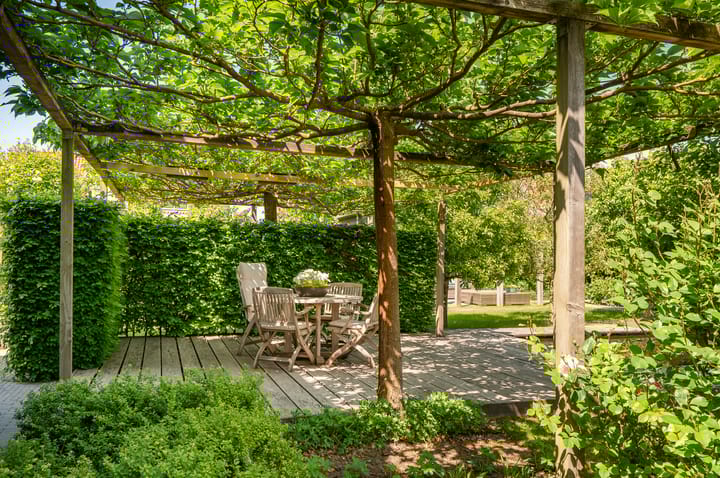 Foto 48 van Weegbree 23