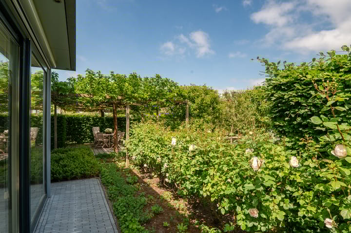 Foto 49 van Weegbree 23