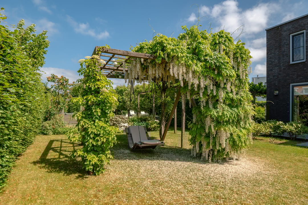 Foto 53 van Weegbree 23