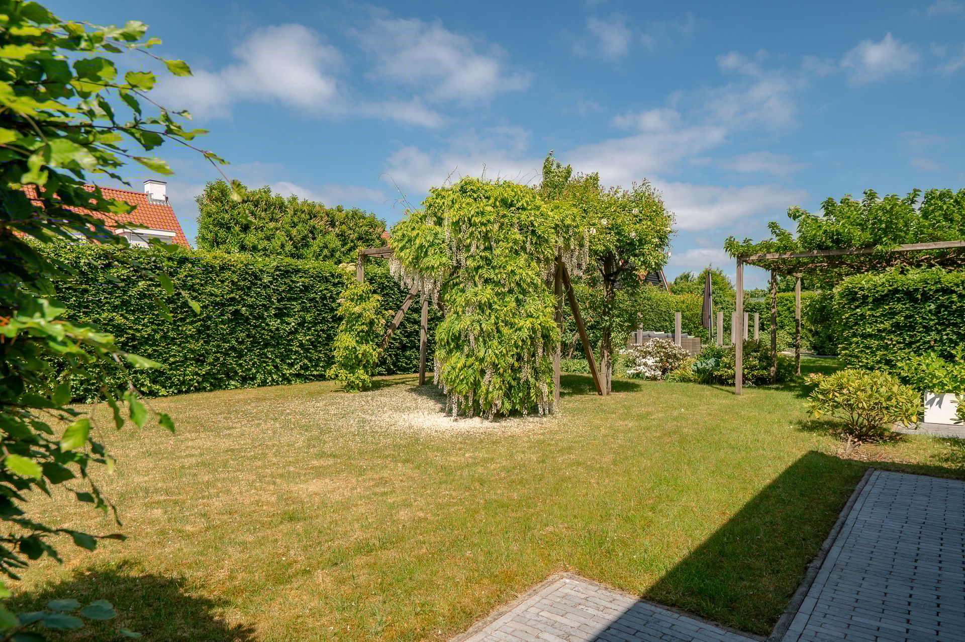 Foto 54 van Weegbree 23