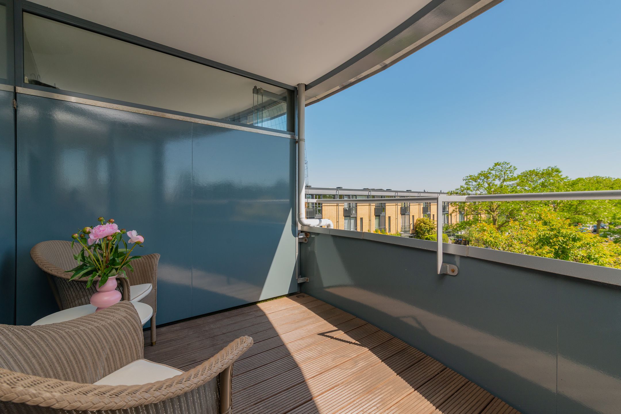 Foto 6 van Treslonglaan 98